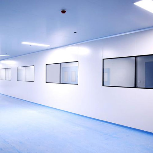 Cleanroom Windows
