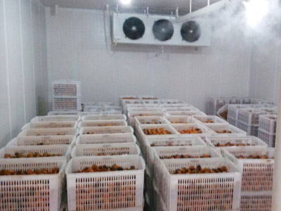 Cold store