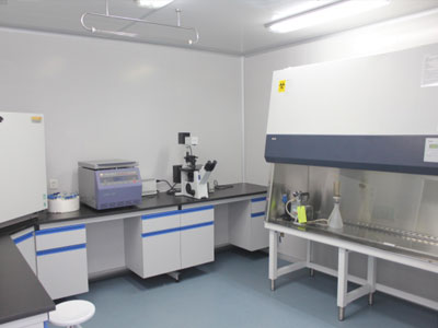 Biological Safety Cabinets