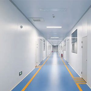 Biological & Food CleanRoom Endure Scratch & VHP Resistant Cleanroom Sandwich Walls Panel