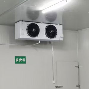 Ceiling-mounted air cooler