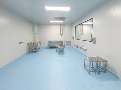 Biopharm GMP cleanroom