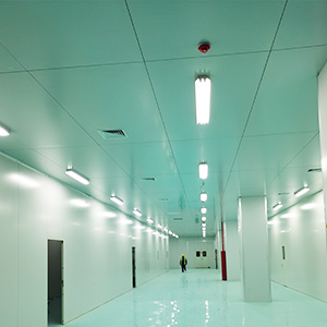 I-Grid/T-Grid Steel Ceiling With Sandwich Panel Systems For Clean Room