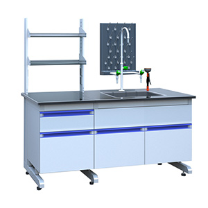 Full Steel or Steel-Wood Laboratory Sink/Washbasin/Wash Station