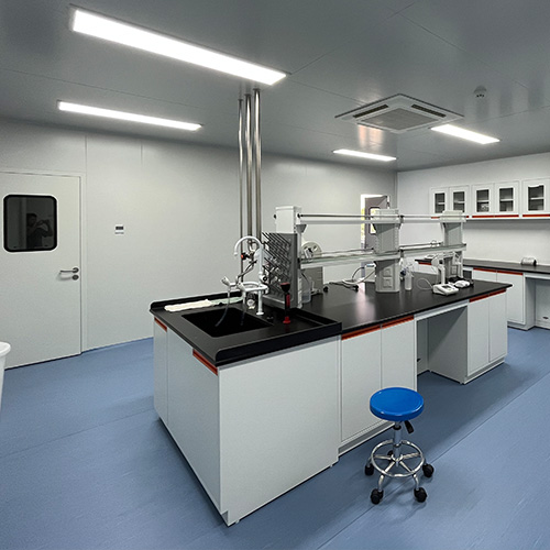 Laboratory Sink
