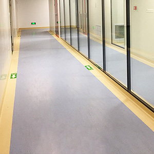 Pvc homogenous floor homogeneous vinyl cleanroom flooring