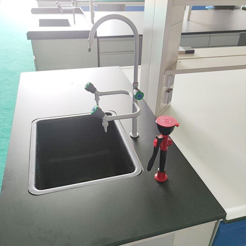 Laboratory Sink