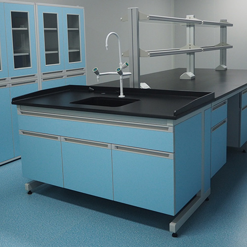 Laboratory Sink