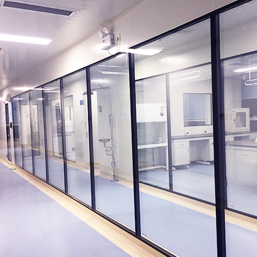 Cleanroom Windows