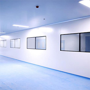 50mm Double Cleanroom Windows For Laboratory