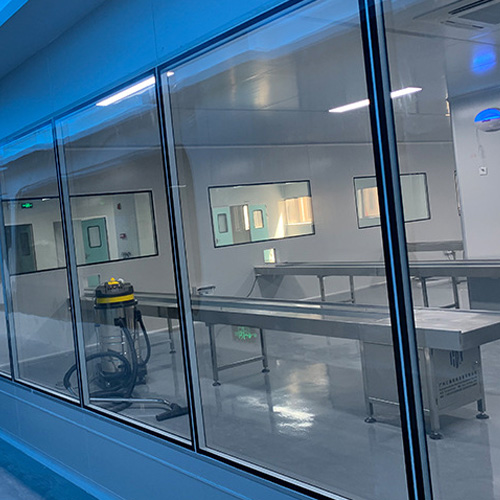 cleanroom window