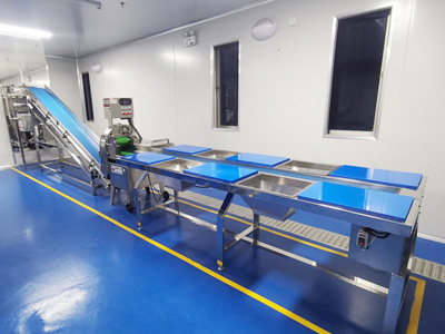 Food & Beverage Processing