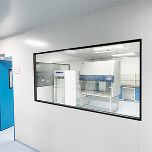 Double-layer Hollow Glass Cleanroom Window Laboratory Tempered Glass Window