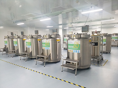 stem cell cleanroom