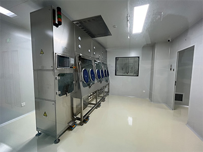 Sterile Inspection Isolator
