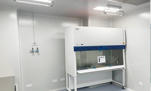 Construction & On-Site Installation for Biopharma Facilities