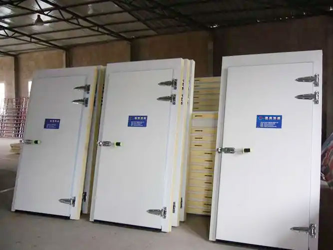 Cold storage insulation door