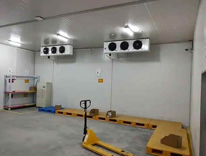Ceiling-mounted air cooler