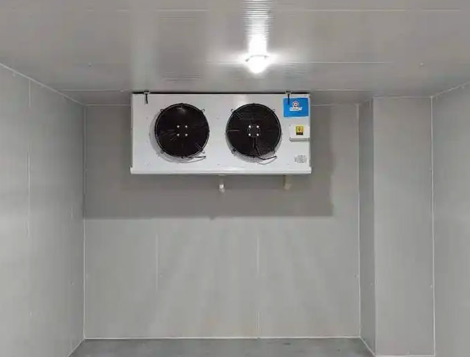 Ceiling-mounted air cooler