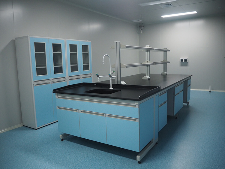 Laboratory Sink