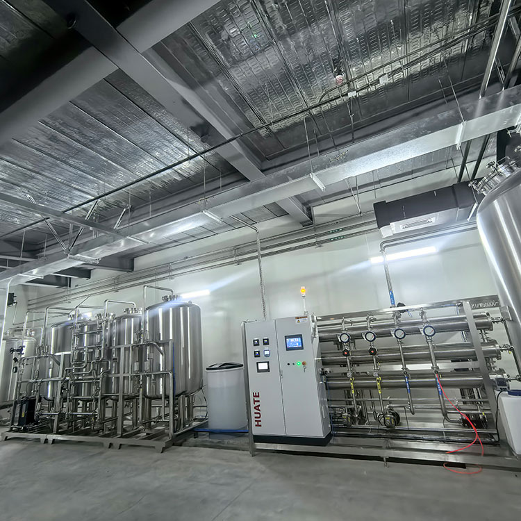 Ultrapure Water System